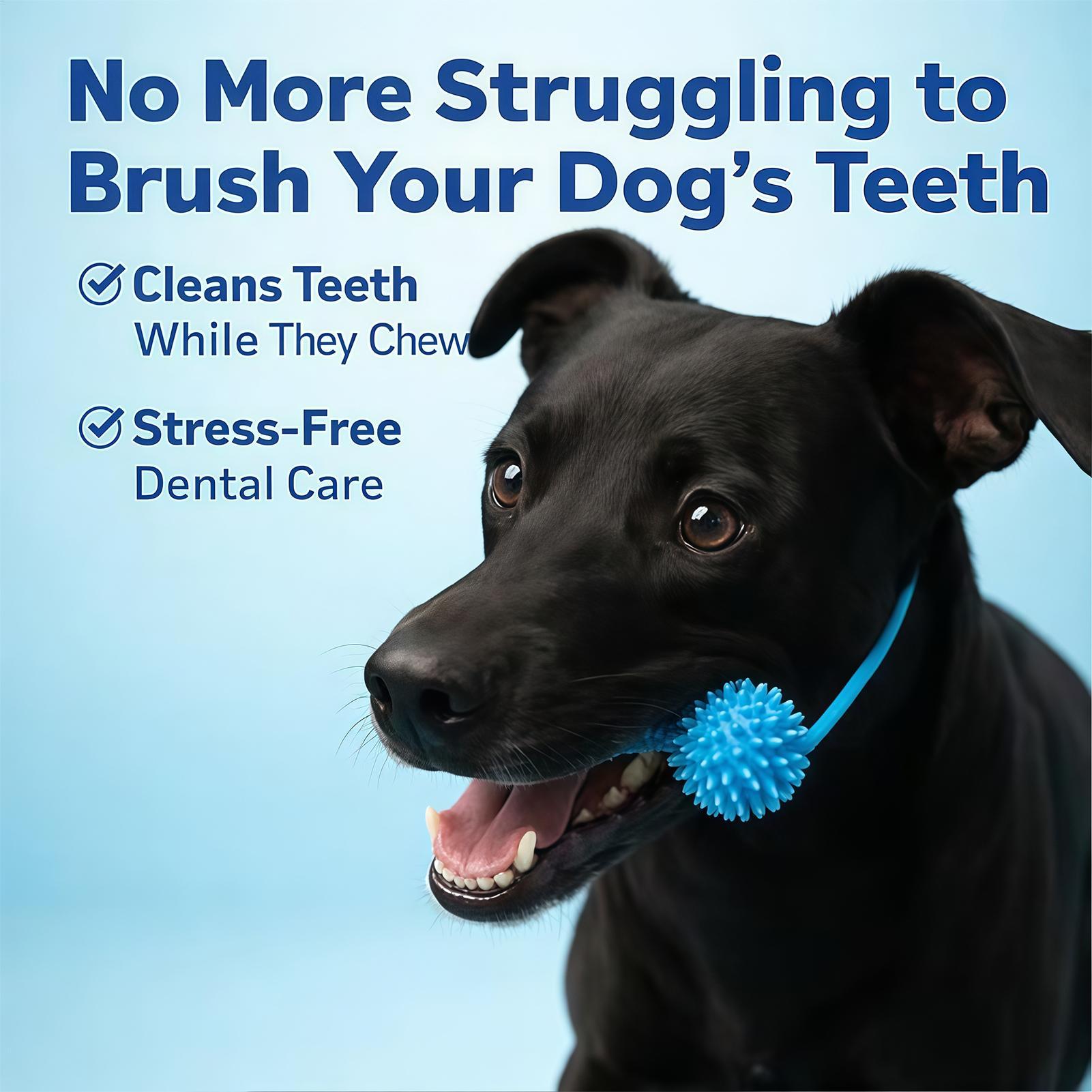 Jouets pour brosser les dents  - Rubber Treat Dispensing Dog Toy avis et prix